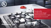 Guida