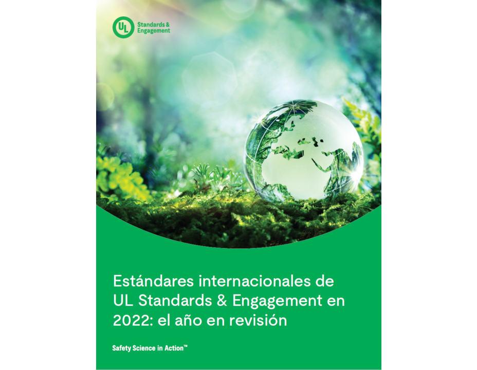 ULSE International Standards 2022: The Year in Review (Spanish)
