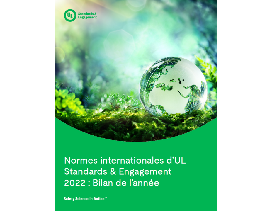 ULSE International Standards 2022: The Year in Review (French)