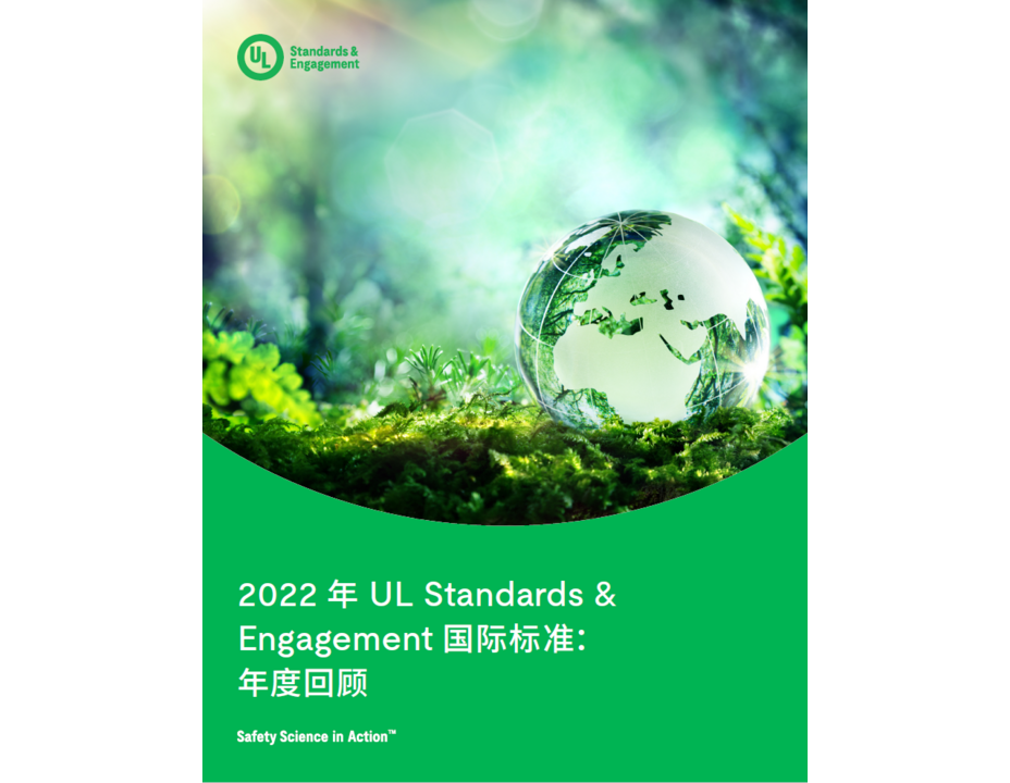 ULSE International Standards 2022: The Year in Review (Chinese)